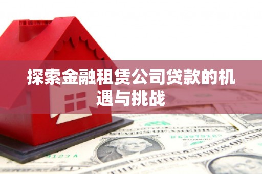 澧县探索金融租赁公司贷款的机遇与挑战