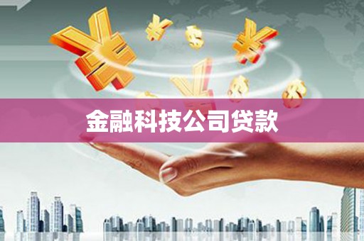 澧县金融科技公司贷款