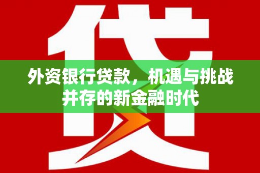 澧县外资银行贷款，机遇与挑战并存的新金融时代