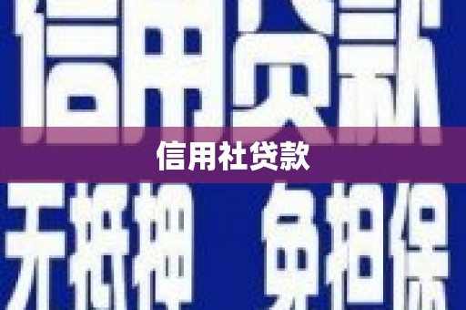 澧县信用社贷款