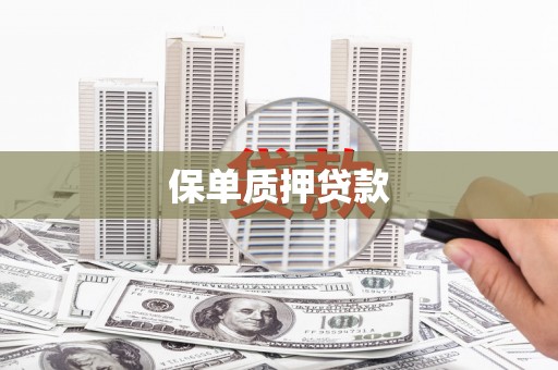 澧县保单质押贷款