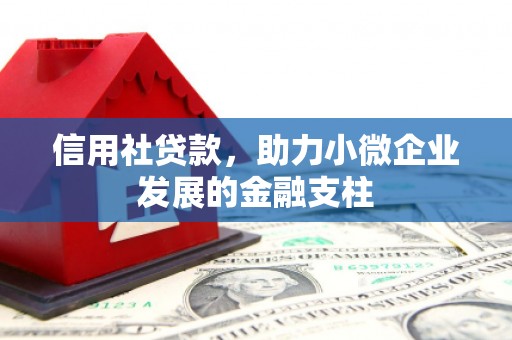 澧县信用社贷款，助力小微企业发展的金融支柱
