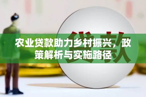 澧县农业贷款助力乡村振兴，政策解析与实施路径