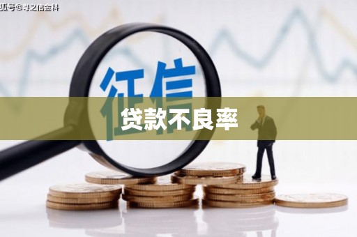 澧县贷款不良率