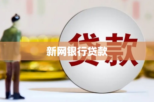 澧县新网银行贷款