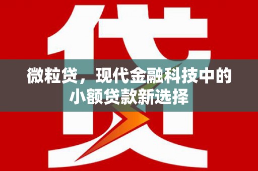 澧县微粒贷，现代金融科技中的小额贷款新选择