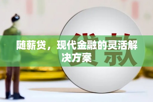澧县随薪贷，现代金融的灵活解决方案
