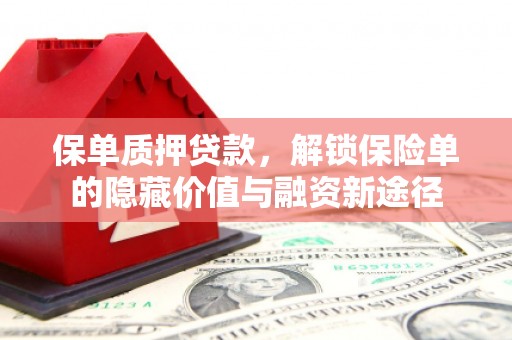 澧县保单质押贷款，解锁保险单的隐藏价值与融资新途径