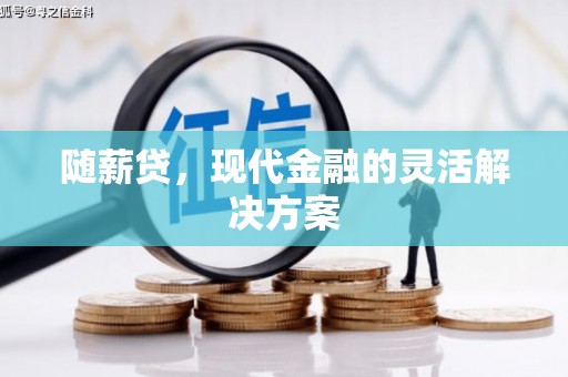 澧县随薪贷，现代金融的灵活解决方案