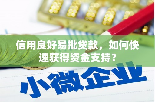 澧县信用良好易批贷款，如何快速获得资金支持？