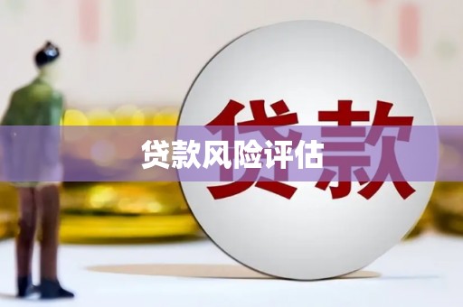 澧县贷款风险评估