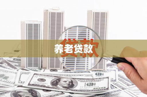 澧县养老贷款