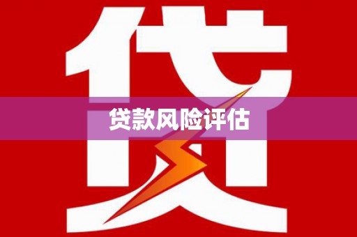 澧县贷款风险评估