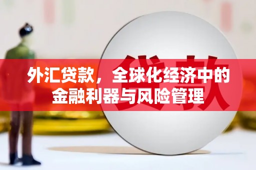 澧县外汇贷款，全球化经济中的金融利器与风险管理