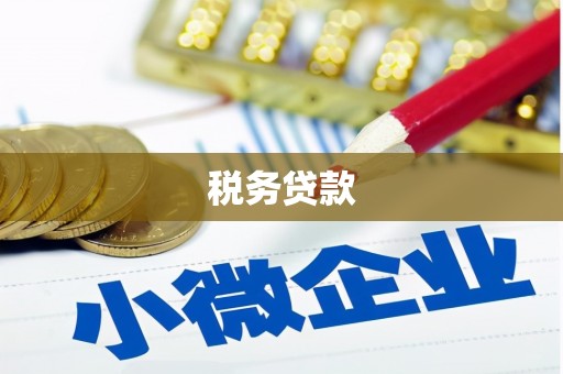澧县税务贷款