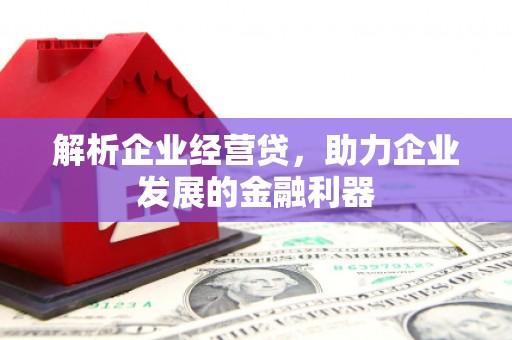 澧县解析企业经营贷，助力企业发展的金融利器