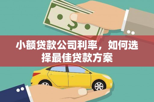 澧县小额贷款公司利率，如何选择最佳贷款方案