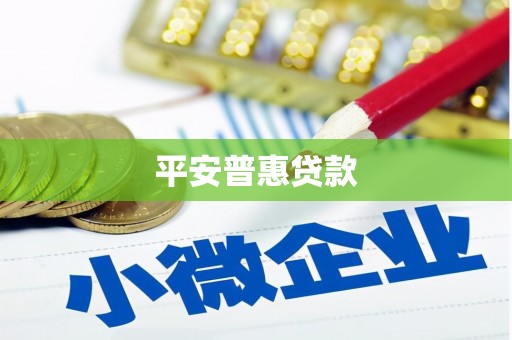 澧县平安普惠贷款