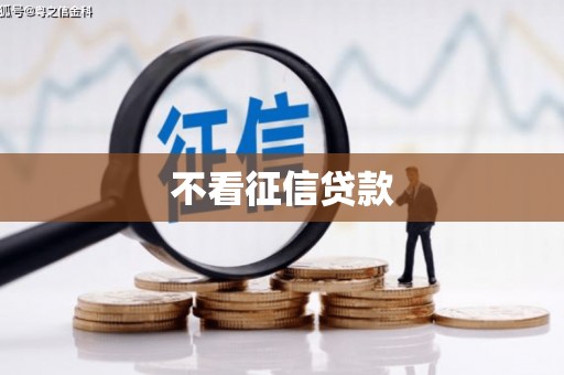 澧县不看征信贷款