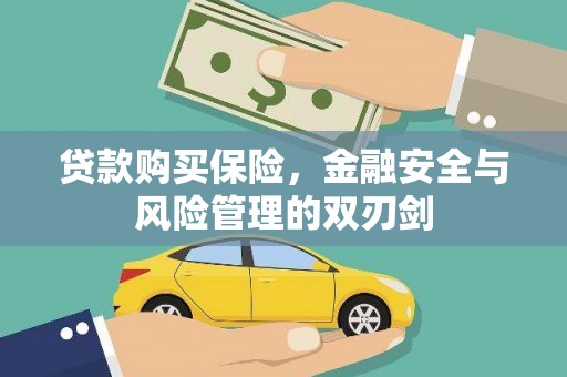 澧县贷款购买保险，金融安全与风险管理的双刃剑