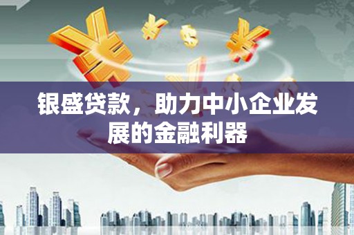 澧县银盛贷款，助力中小企业发展的金融利器