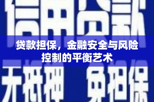 澧县贷款担保，金融安全与风险控制的平衡艺术