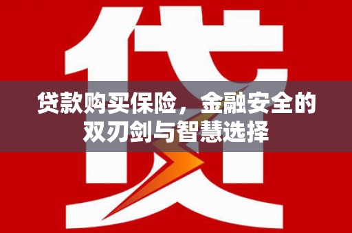 澧县贷款购买保险，金融安全的双刃剑与智慧选择