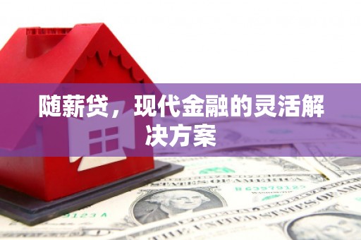 澧县随薪贷，现代金融的灵活解决方案