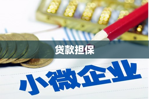 澧县贷款担保