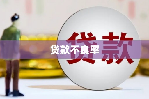 澧县贷款不良率