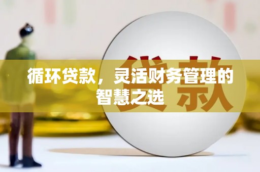 澧县循环贷款，灵活财务管理的智慧之选