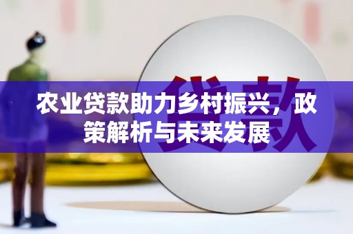 澧县农业贷款助力乡村振兴，政策解析与未来发展