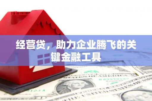 澧县经营贷，助力企业腾飞的关键金融工具
