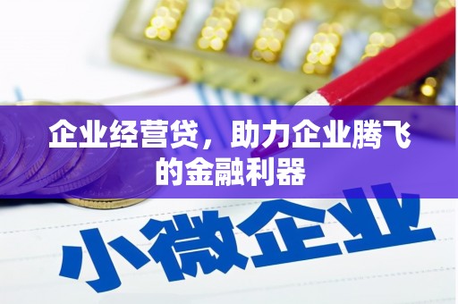 澧县企业经营贷，助力企业腾飞的金融利器