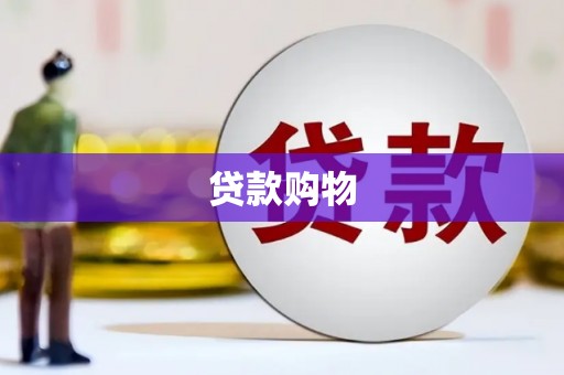 澧县贷款购物