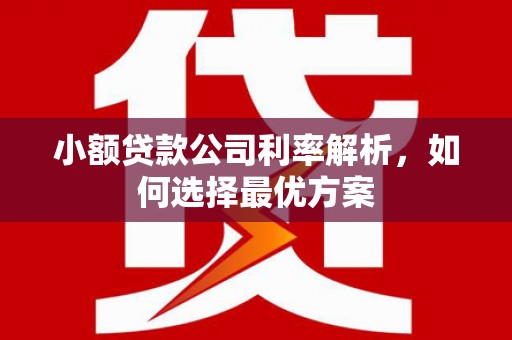 澧县小额贷款公司利率解析，如何选择最优方案