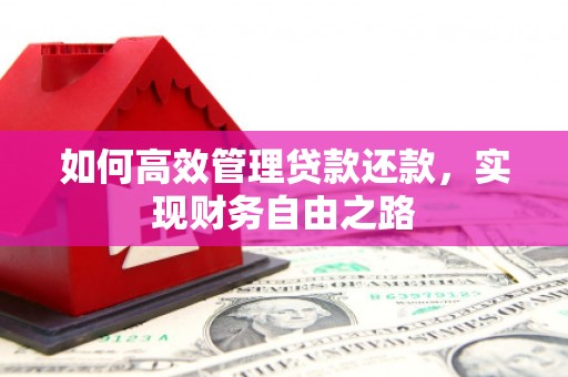澧县如何高效管理贷款还款，实现财务自由之路