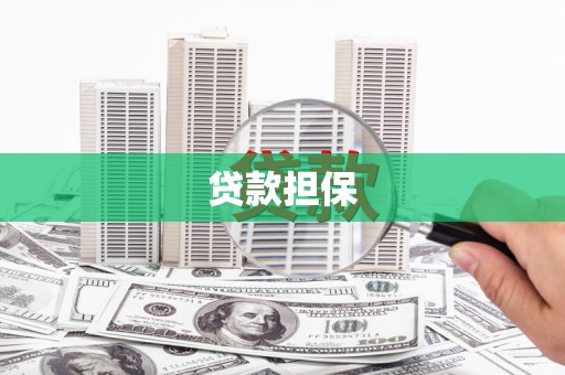 澧县贷款担保