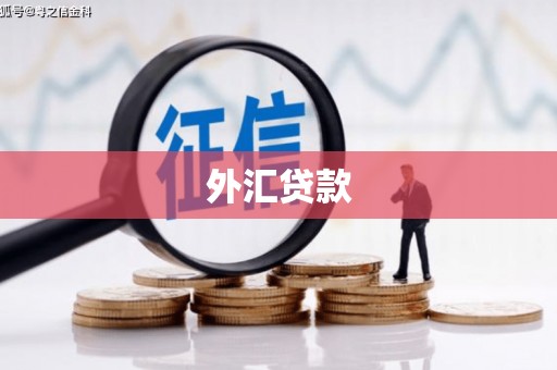 澧县外汇贷款