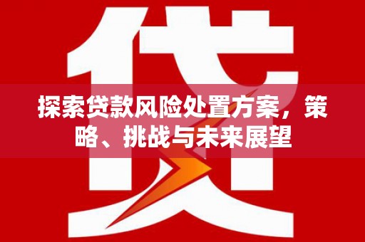 澧县探索贷款风险处置方案，策略、挑战与未来展望