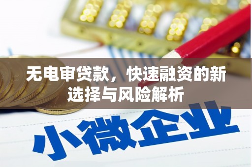 澧县无电审贷款，快速融资的新选择与风险解析