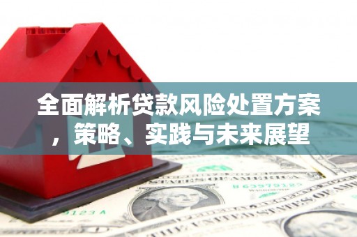 澧县全面解析贷款风险处置方案，策略、实践与未来展望