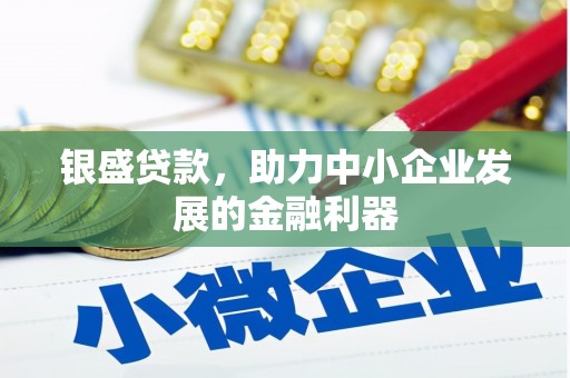 澧县银盛贷款，助力中小企业发展的金融利器