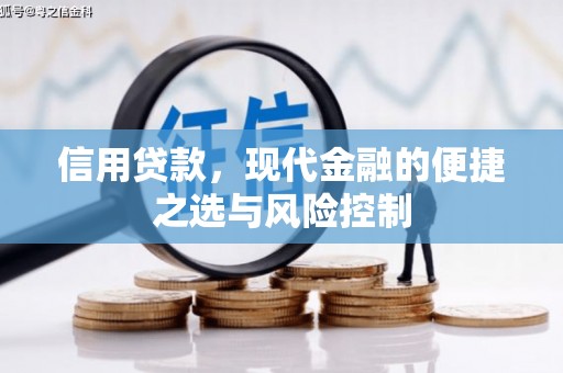 澧县信用贷款，现代金融的便捷之选与风险控制