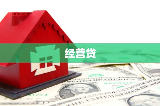 澧县经营贷