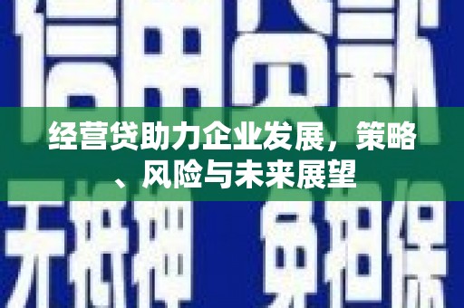 澧县经营贷助力企业发展，策略、风险与未来展望