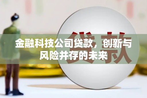 澧县金融科技公司贷款，创新与风险并存的未来