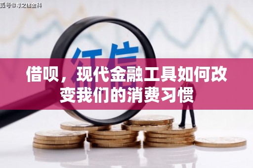 澧县借呗，现代金融工具如何改变我们的消费习惯