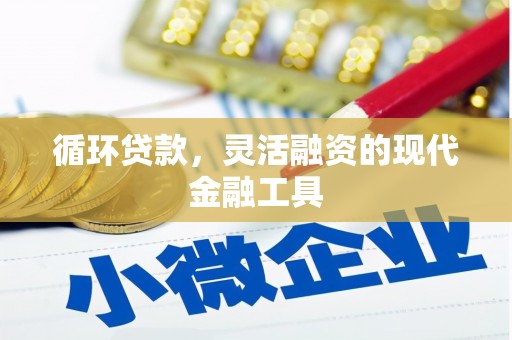 澧县循环贷款，灵活融资的现代金融工具