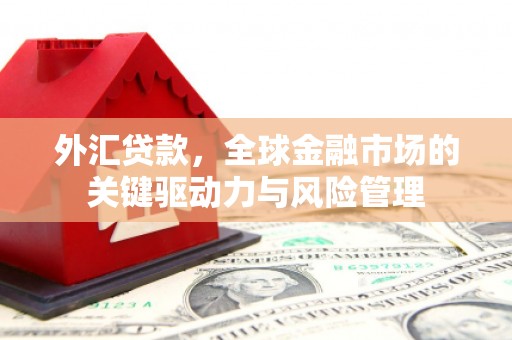 澧县外汇贷款，全球金融市场的关键驱动力与风险管理